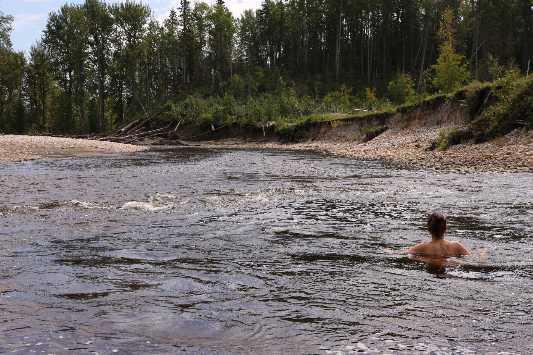 Swimming in the Freeman River below the treeline