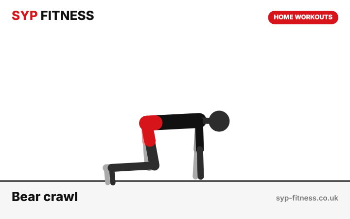 Bear crawl forwards and back demonstration - Level 5 bodyweight home workout, SYP Fitness personal trainer Archway