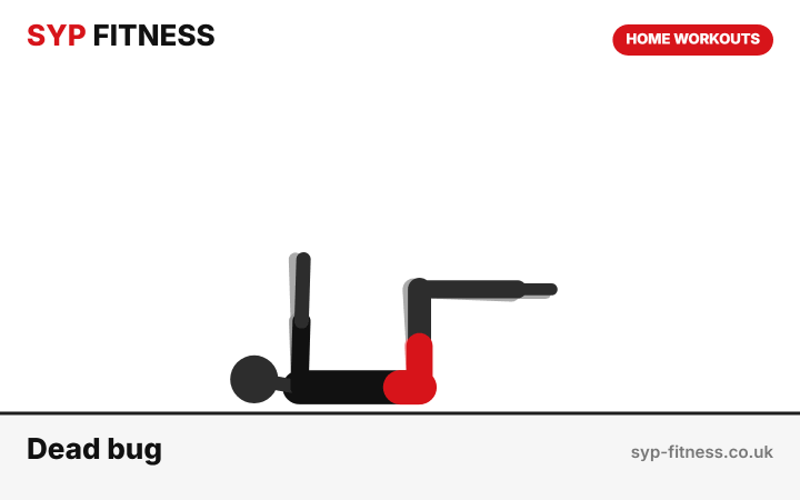 Dead bug (bent knees) demonstration - Level 1 bodyweight home workout, SYP Fitness personal trainer Archway