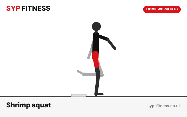 Shrimp squat (to a cushion at first) demonstration - Level 8 bodyweight home workout, SYP Fitness personal trainer Archway