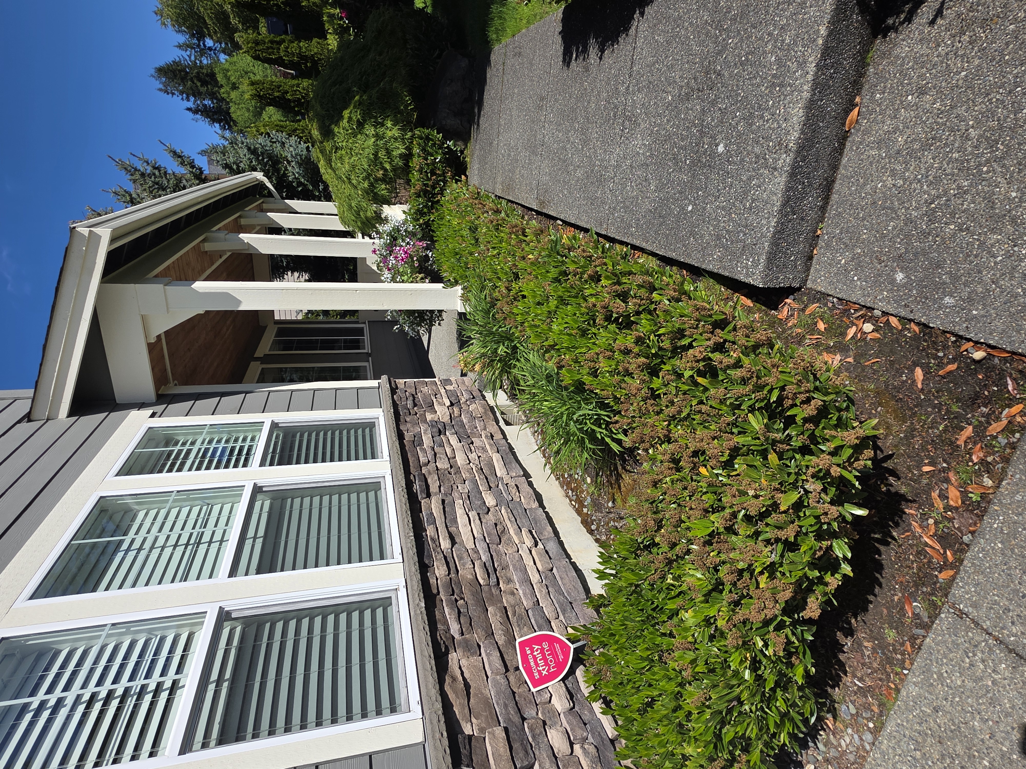 Before mulch installation