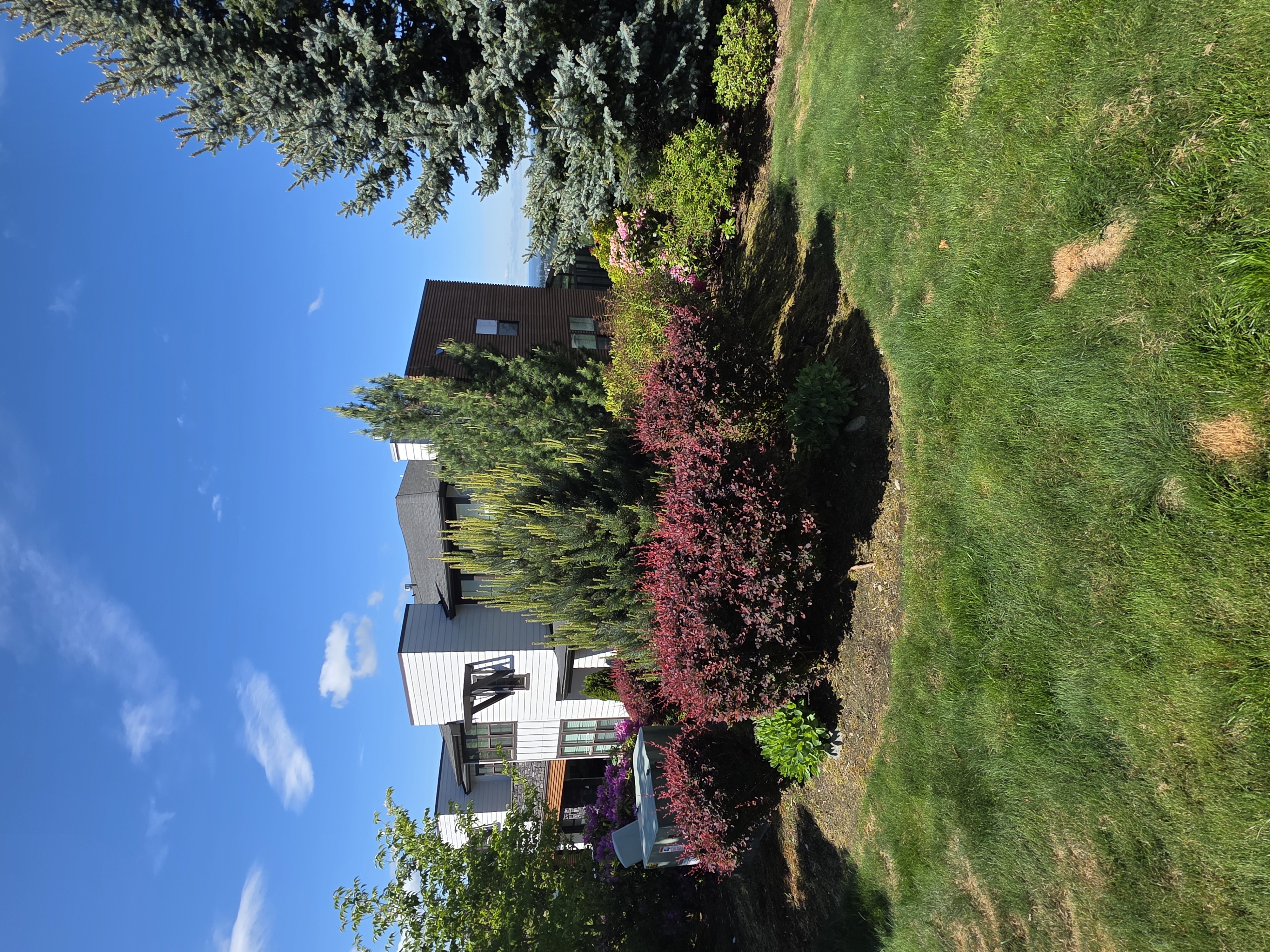 Before mulch installation