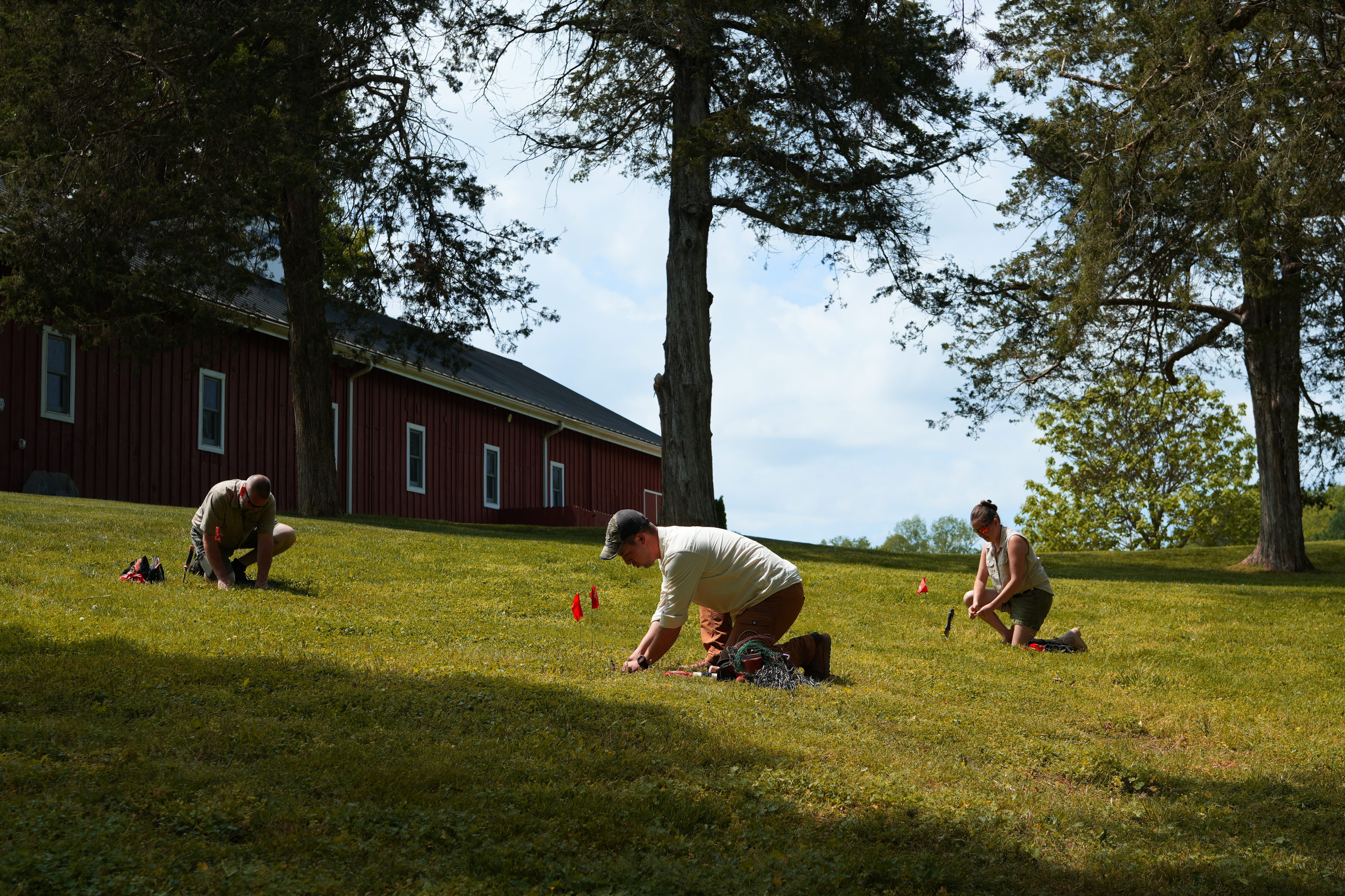 Ogden Mole Control team at work in a client's yard, setting traps in active mole tunnels