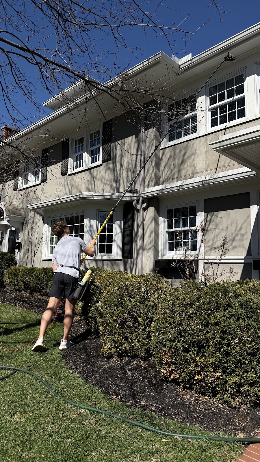 Clean windows brightening San Diego area living space