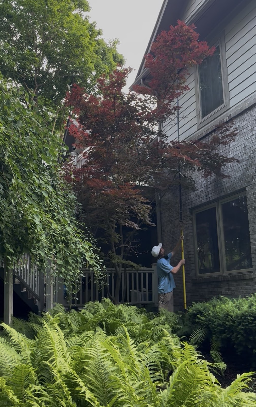 Whiteline Window Washing exterior cleaning on residential property