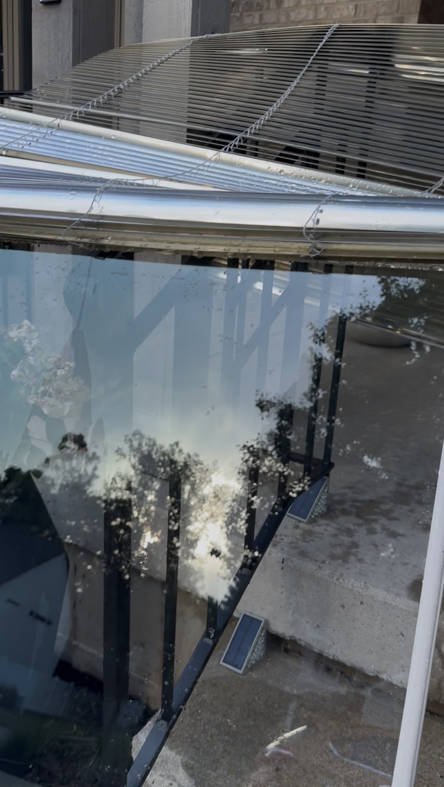 San Diego residential windows sparkling after Whiteline cleaning
