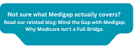 Medigap coverage callout linking to Medicare Supplement blog about why Medicare does not cover everything
