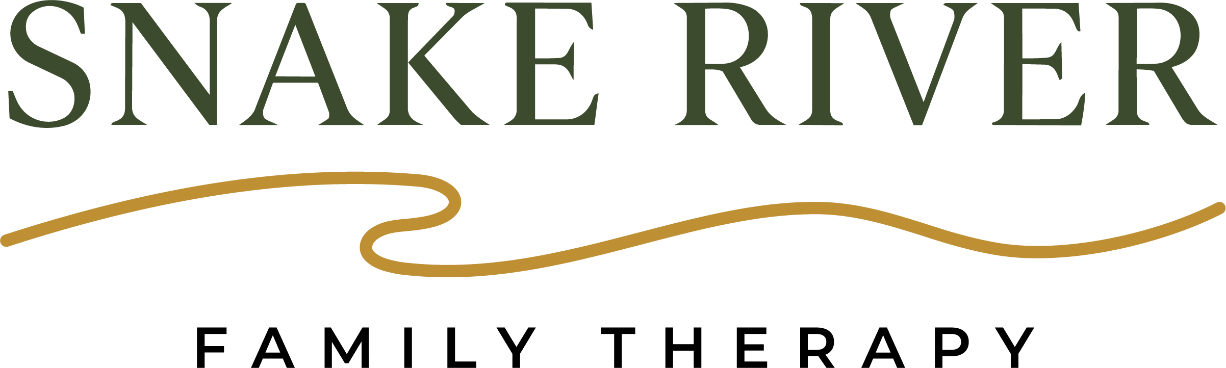 Snake River Family Therapy