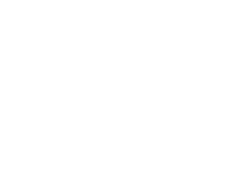 Azady Soap logo