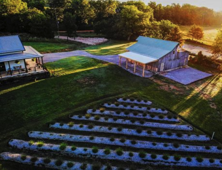 Winery patio set under evening light