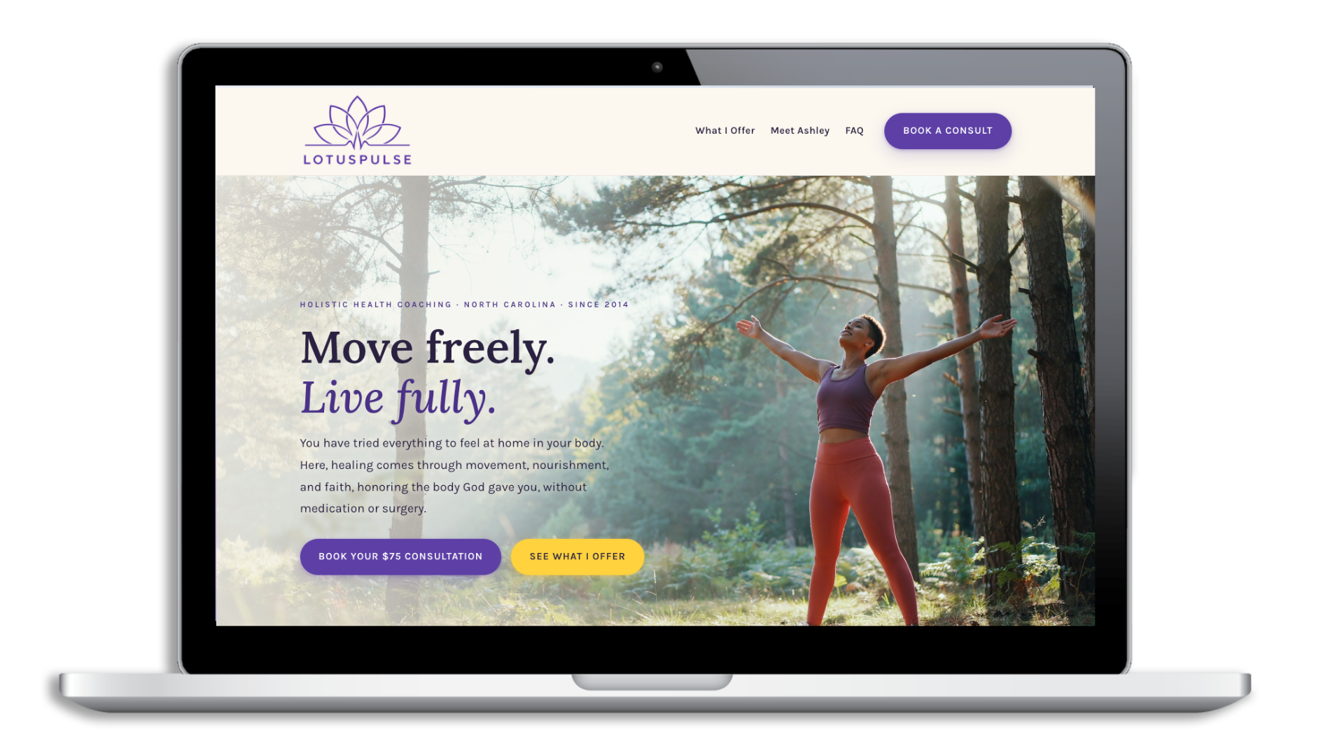 Ashley Jenkinz website redesign concept