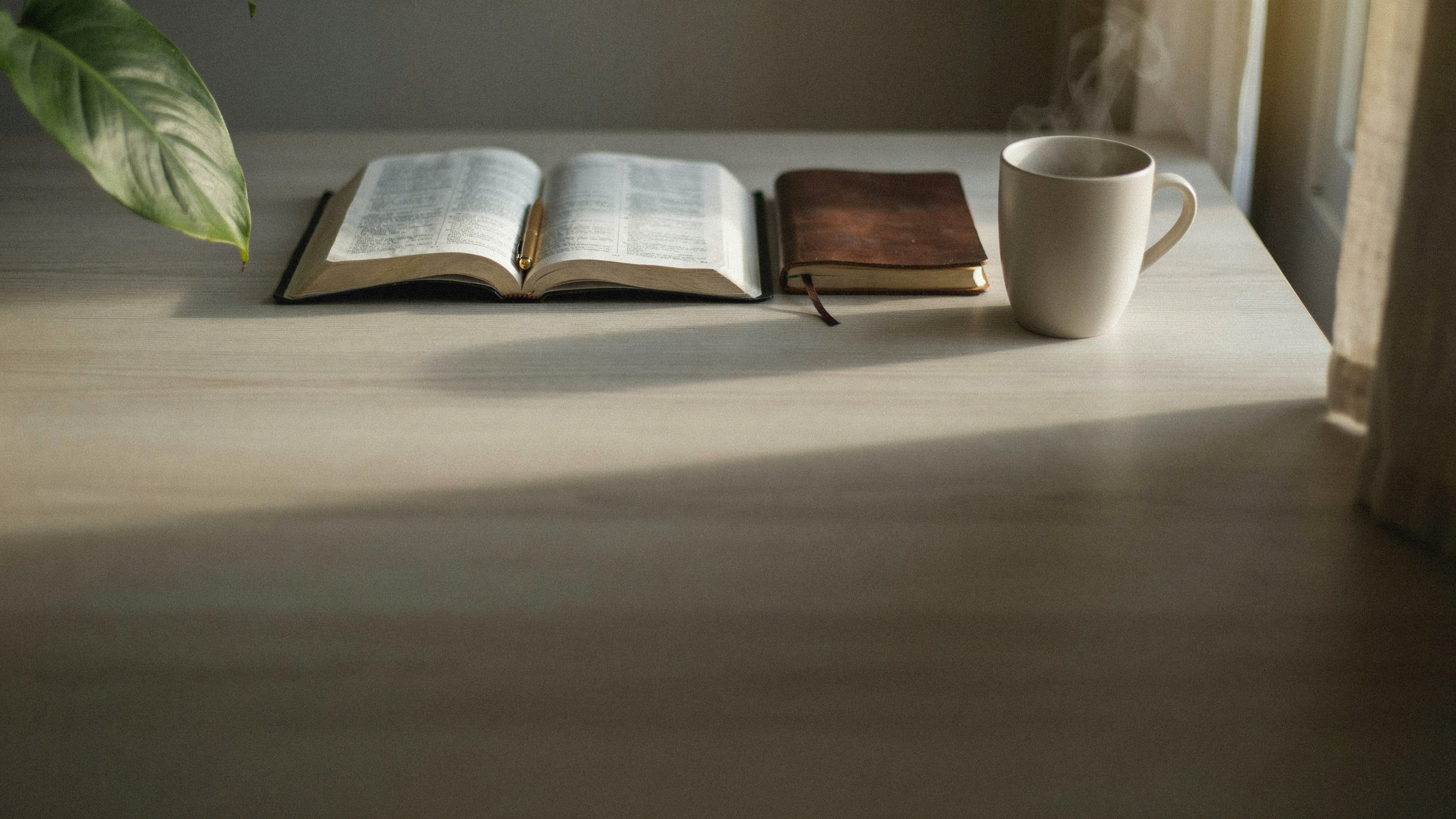 An open Bible and journal on a table in warm morning light