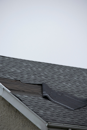 Damaged roof shingles lifting from a house, illustrating the need for emergency roofing services and quick repairs.