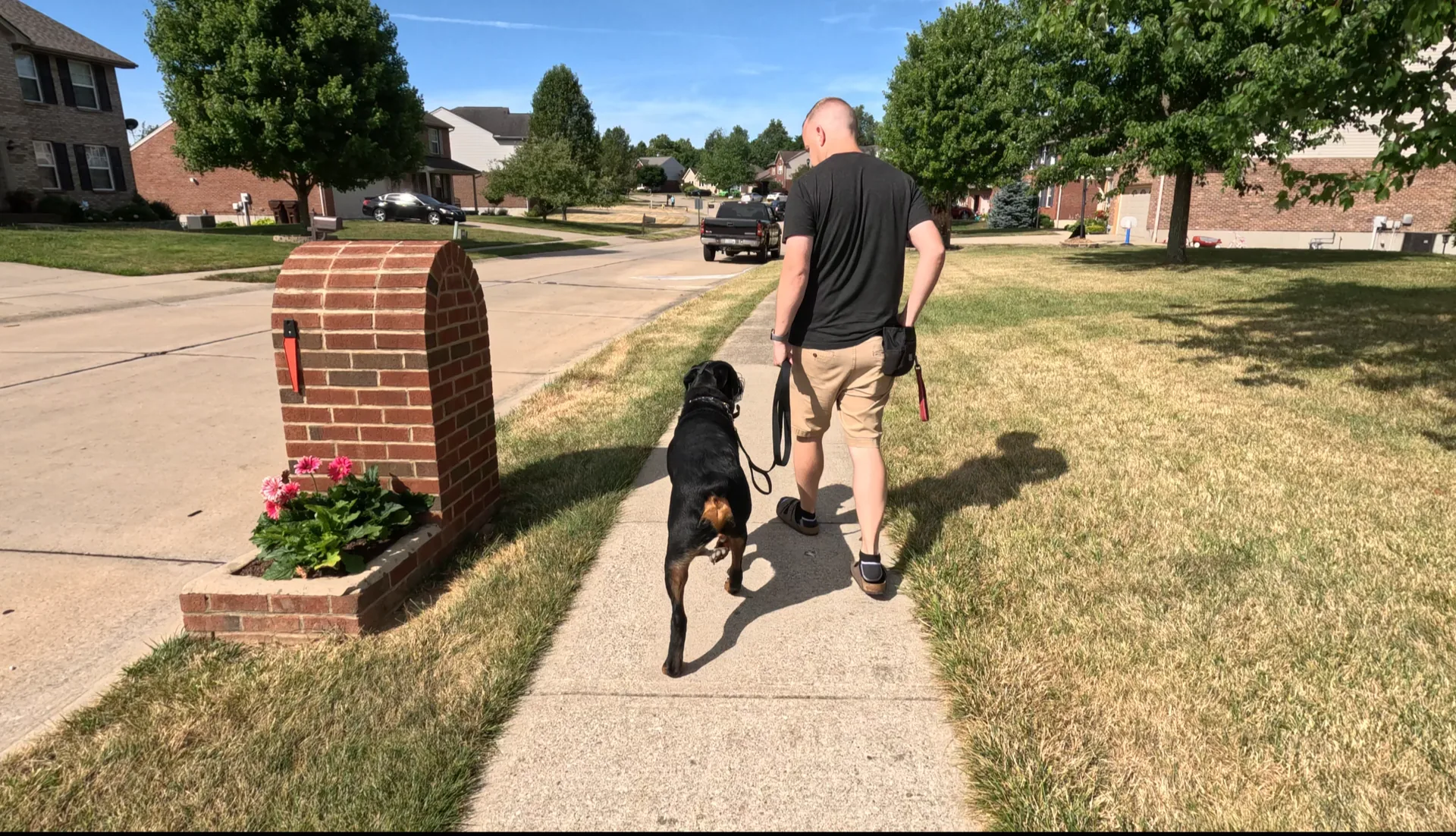 Dog training philosophy in Northern Kentucky with WMK9