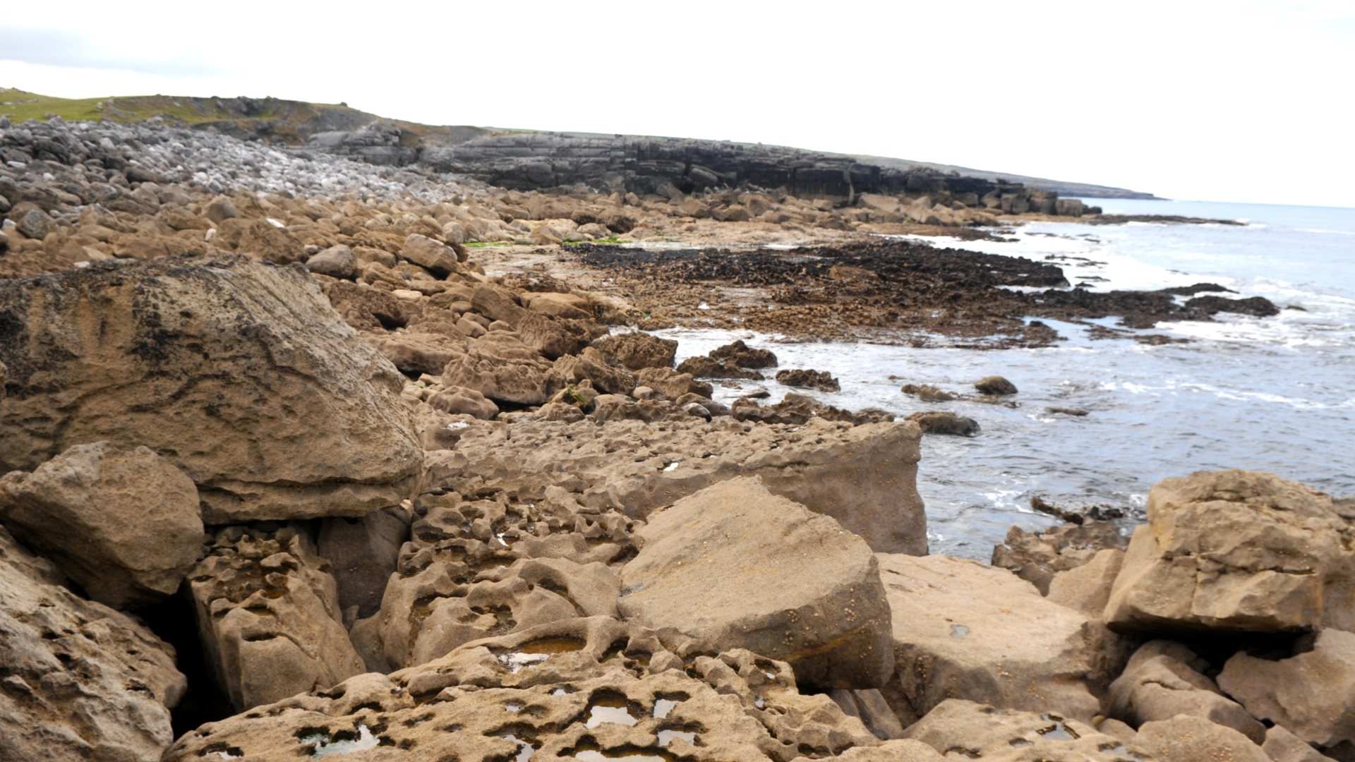 The pale, rocky limestone shoreline of the Burren with shallow coastal water