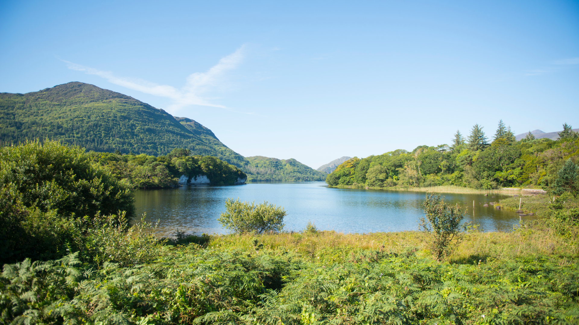 A peaceful lake in Killarney framed by wooded shores and hills beneath a blue sky