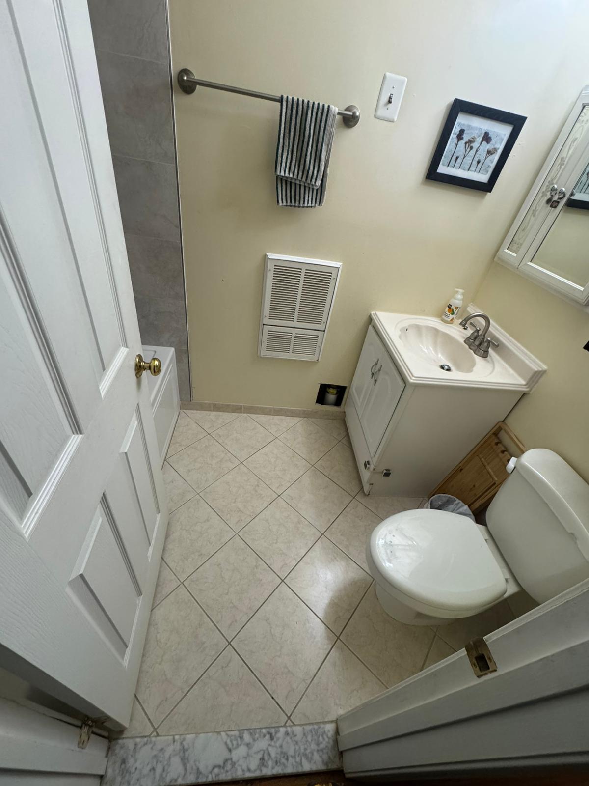 Bathroom Project 10