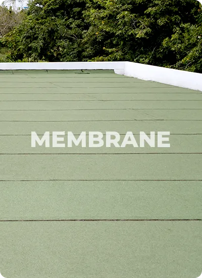 Membrane