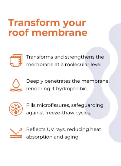 Membrane detail