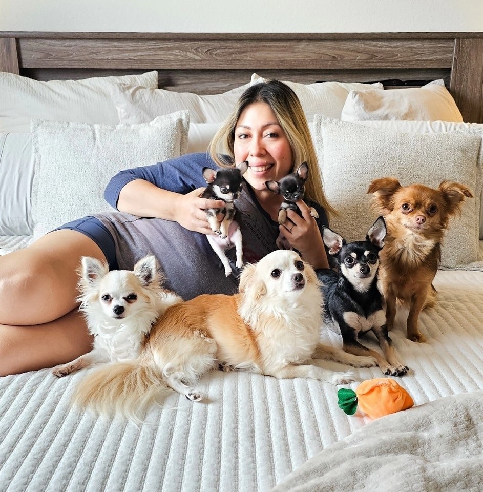Lorena with her five Chihuahuas