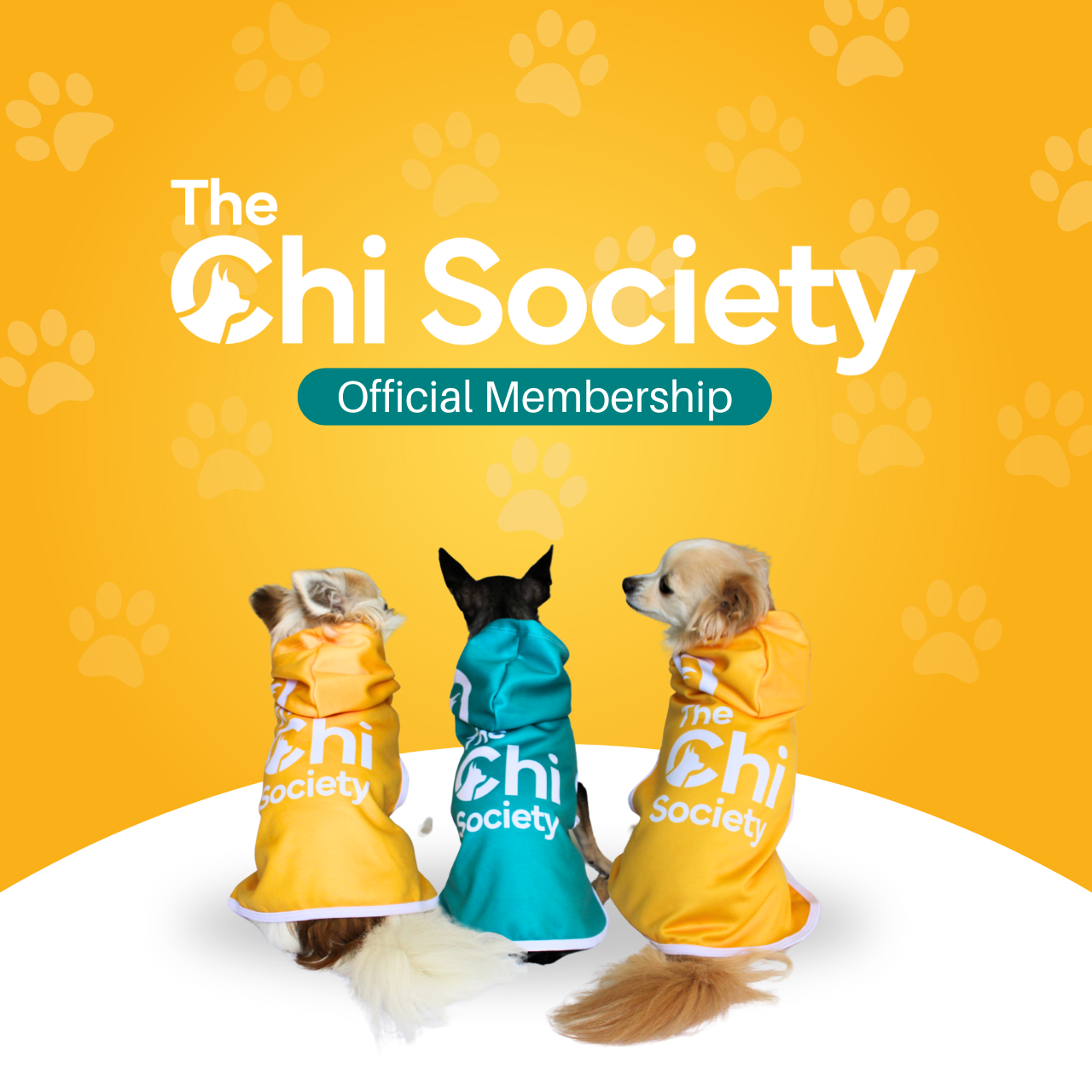 Keto and the Chi Society pack