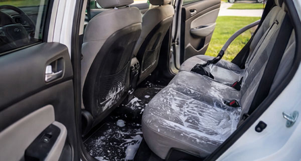 Interior Shampoo