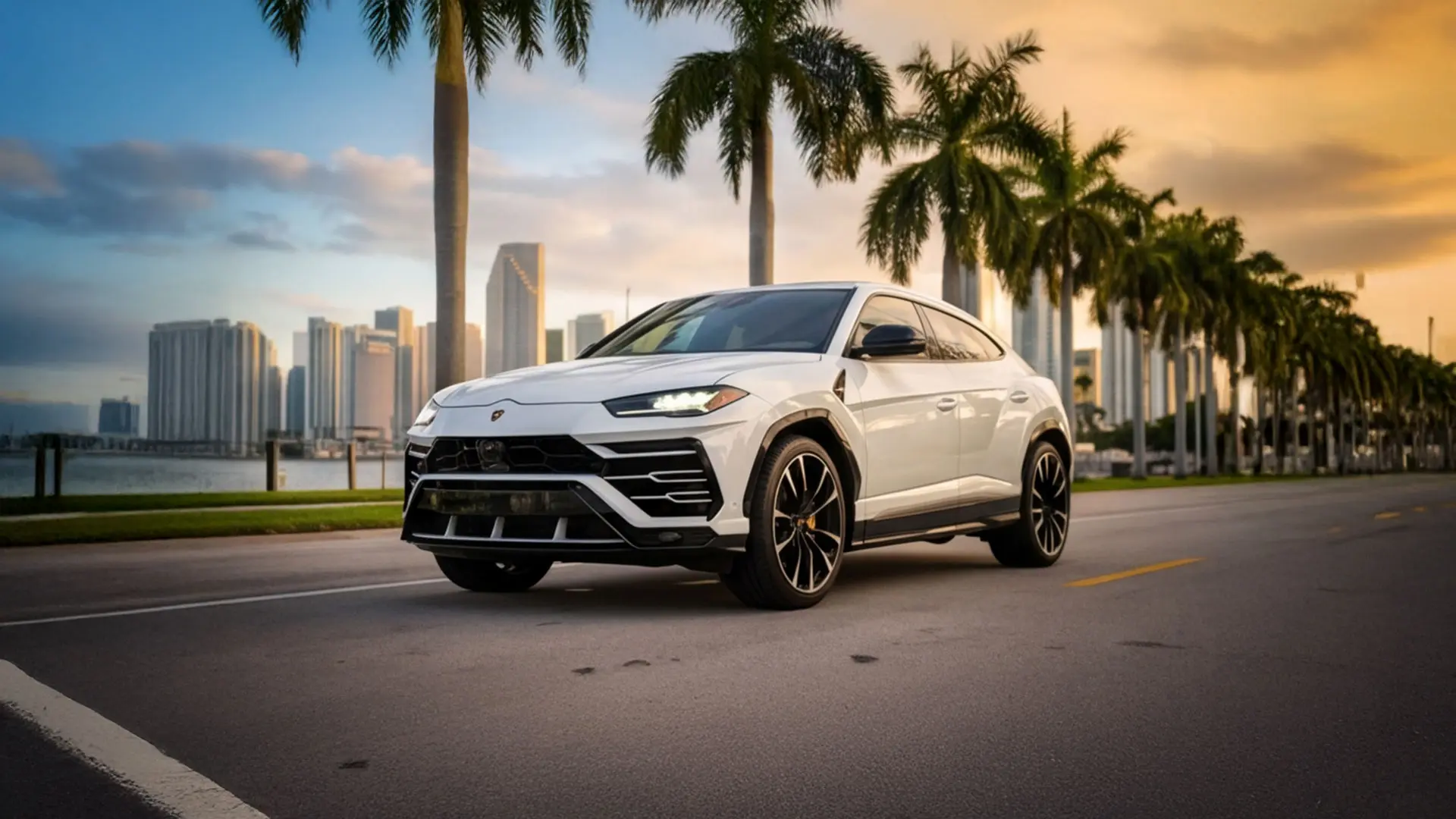 Hatchback / Compact Car