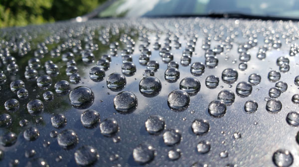 Water beading on ceramic coated car hood showing hydrophobic paint protection