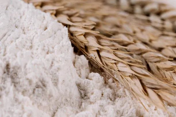 Whole grains and wheat