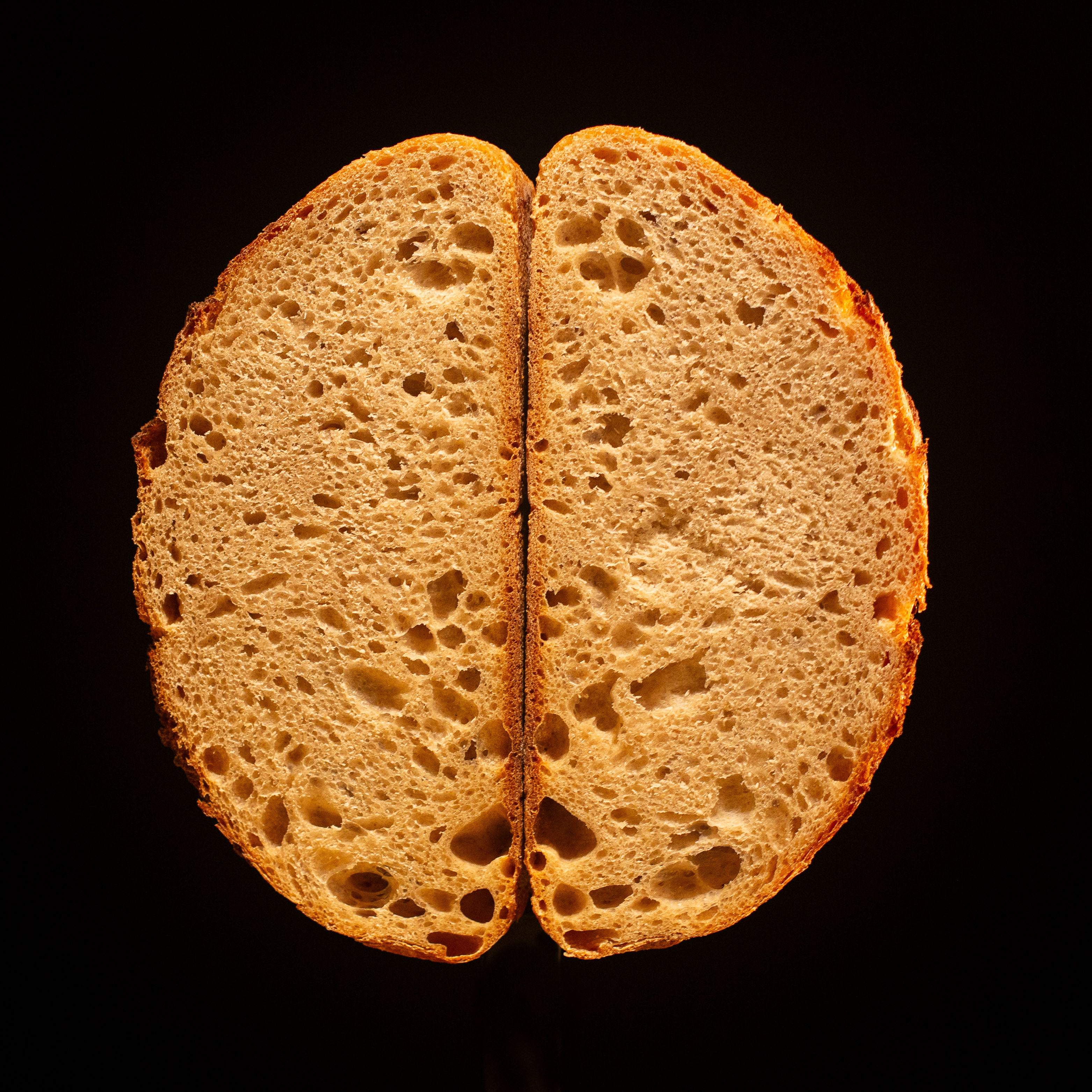 Dense, open sourdough crumb