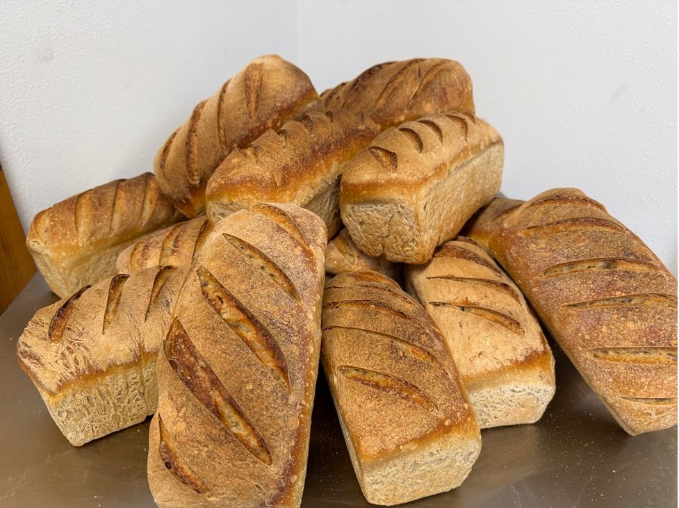 Freshly baked Crow Bench Farm sourdough loaves