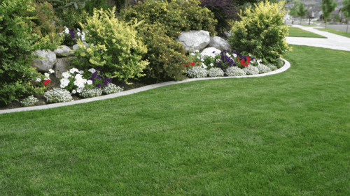 Lawn Installation in Cedar City