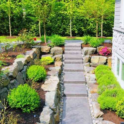 Tree and Shrub Services Cedar City