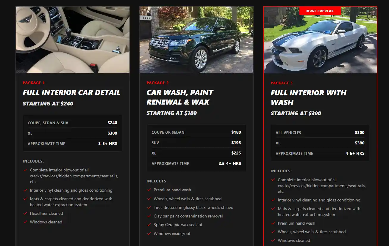 Websites with Direct Booking & Scheduling view 2