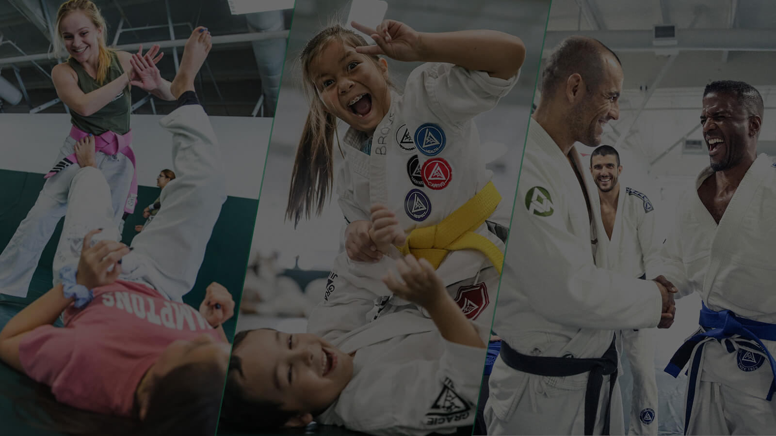 Hampton Roads Karate and Gracie Jiu-Jitsu Chesapeake