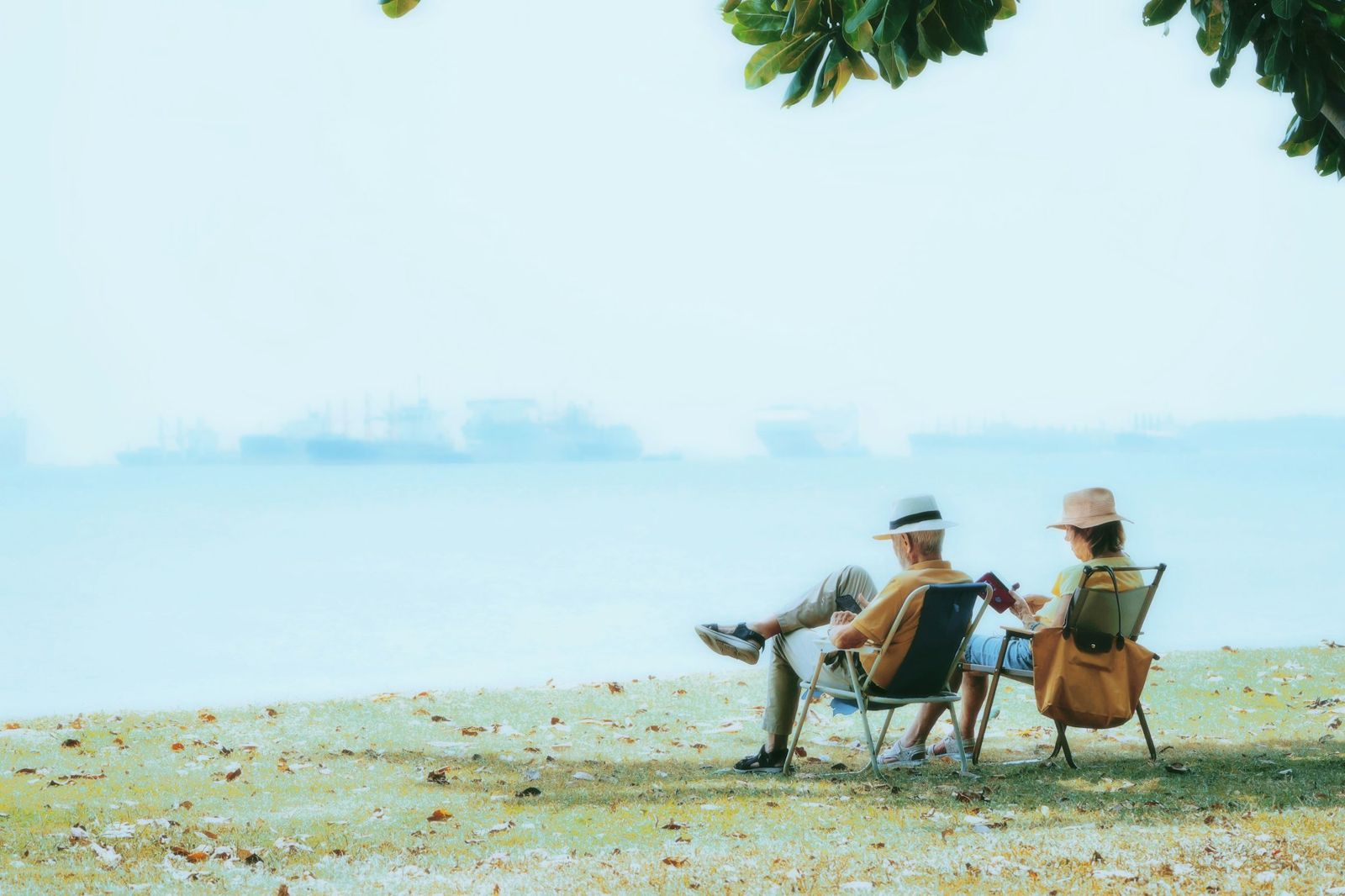 Couple relaxing in beach chairs by the water