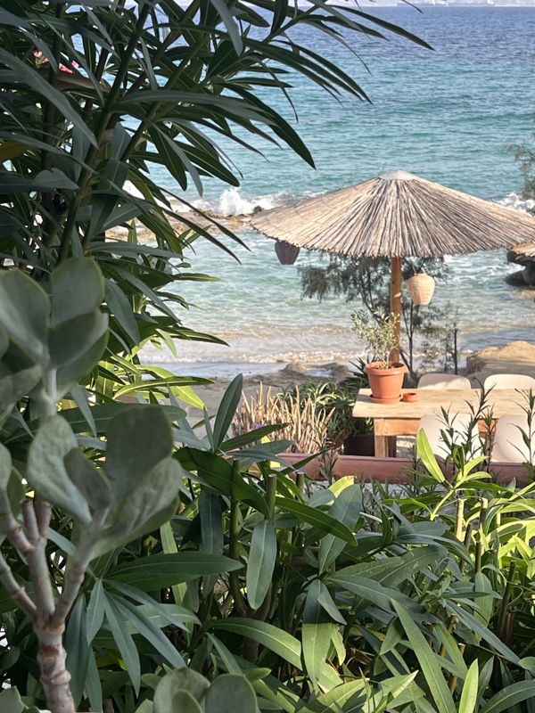 Authentic dining, Aegina