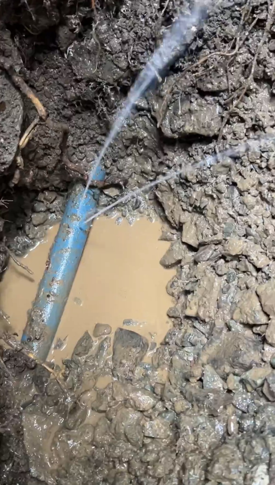 Understanding the Cost of Water Leaks A Deep Dive into Damages