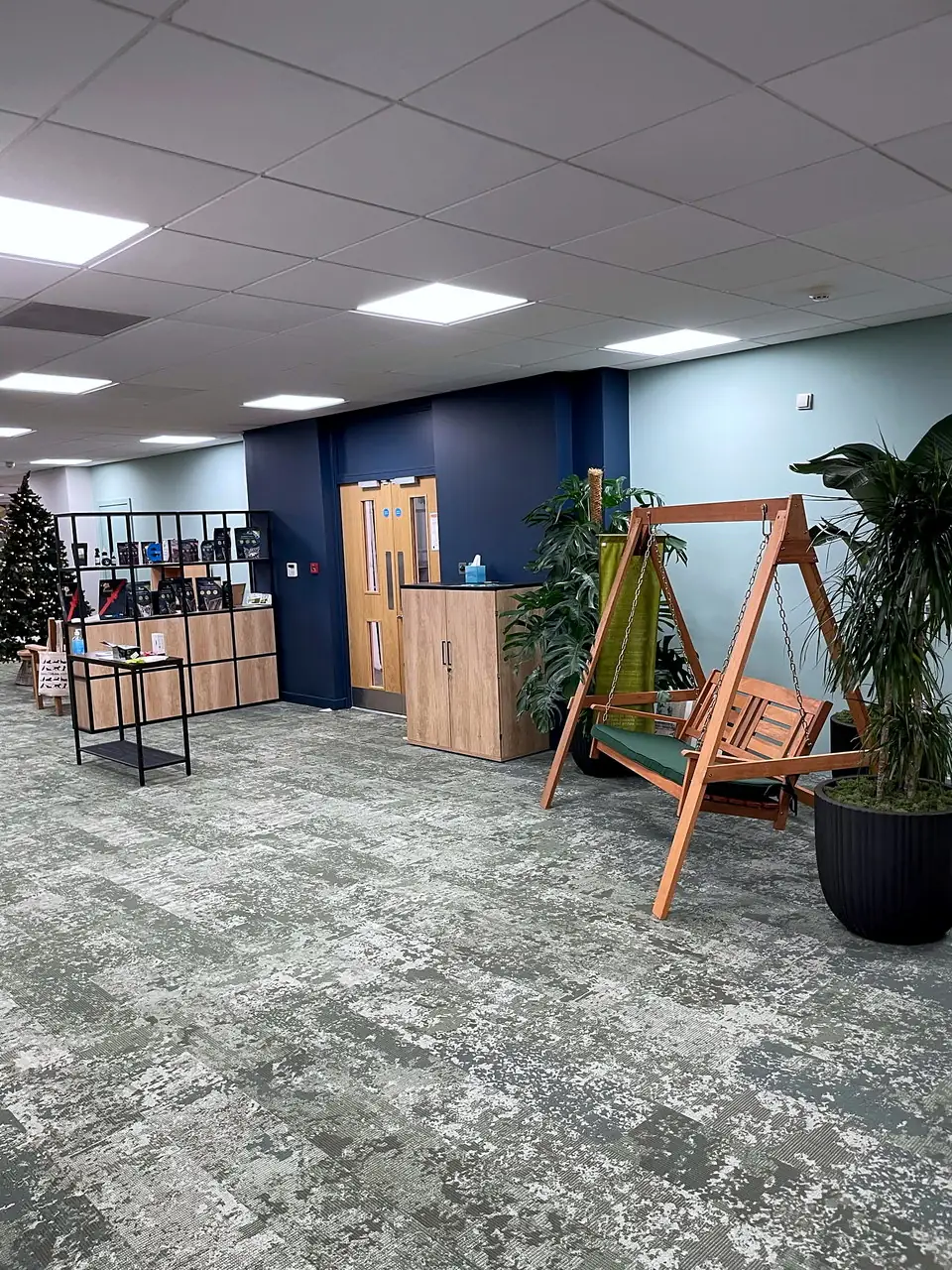 A timber swing seat and planting against the dark blue feature wall at Bella & Duke.