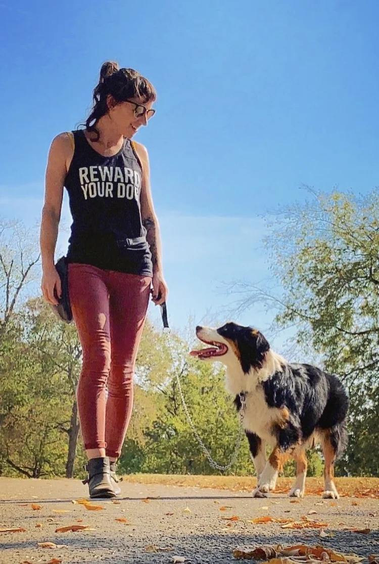 An energetic adolescent dog outdoors practicing real-world skills with a trainer