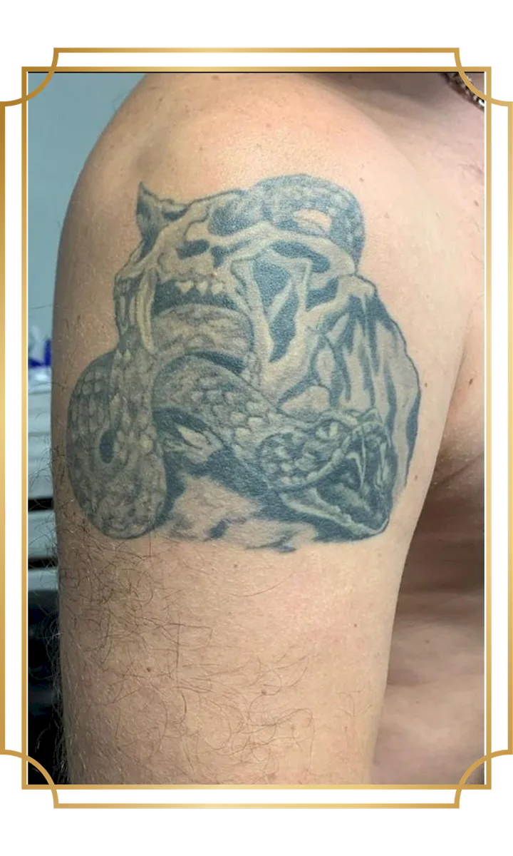 Faded tiger and snake tattoo on the upper arm before a tattoo cover-up