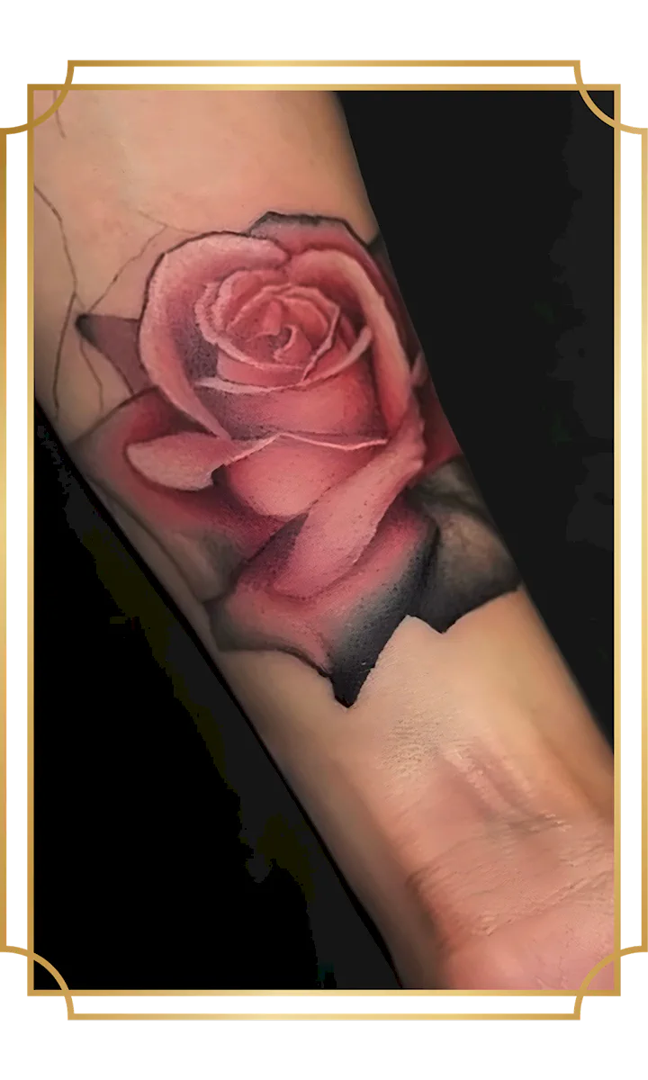 Color-realism pink rose tattoo on the inner forearm with layered petals, smooth gradients and deep shadowing by Alek the Saint