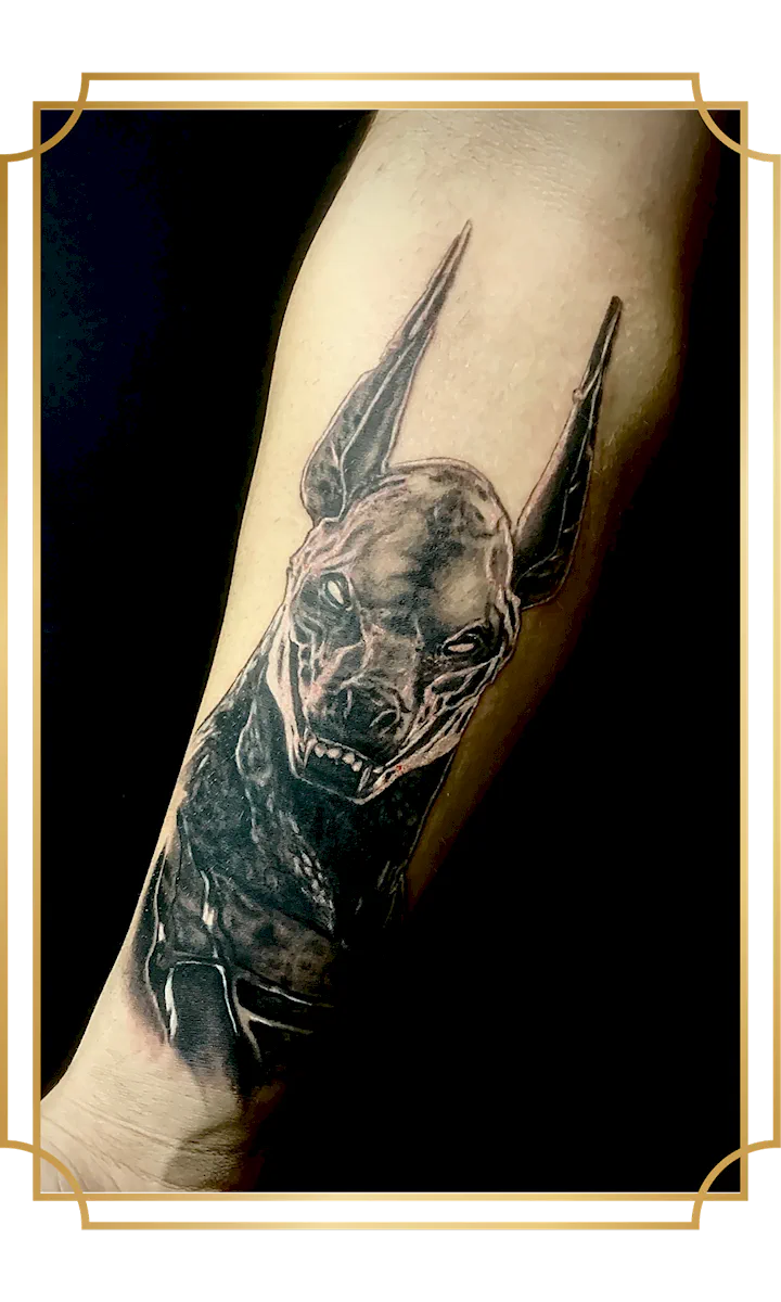 Black and gray realism anubis portrait tattoo on the forearm