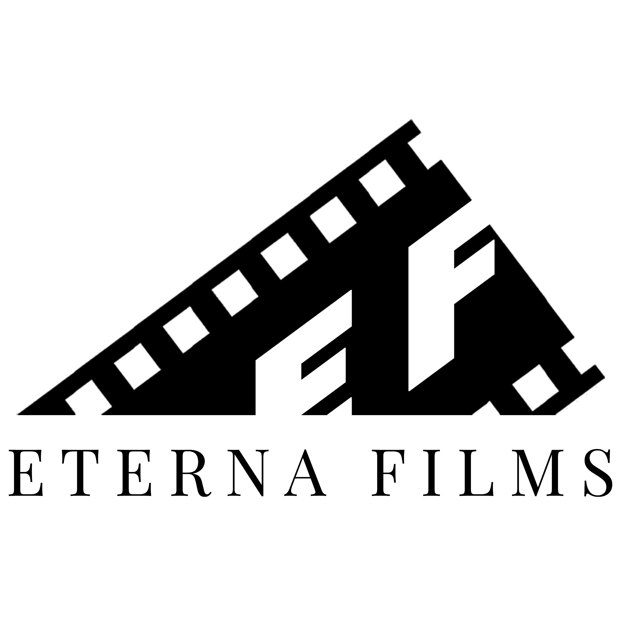 Eterna Films Cinematic Wedding Event Videography In Ottawa eterna-films-cinematic-wedding-event-videography-in-ottawa