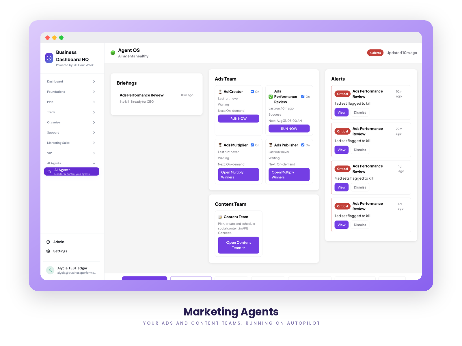 Marketing Agents