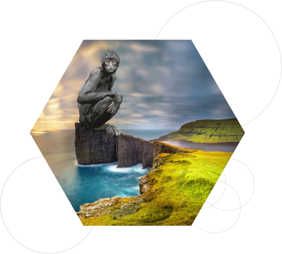 Framed GesturePrint wall art on white wall, photorealistic, natural tones, craft emphasized