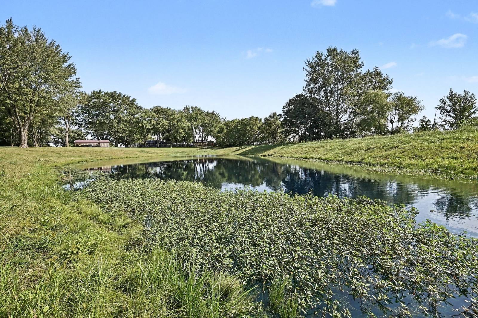 Private pond at the Kearney acreage property