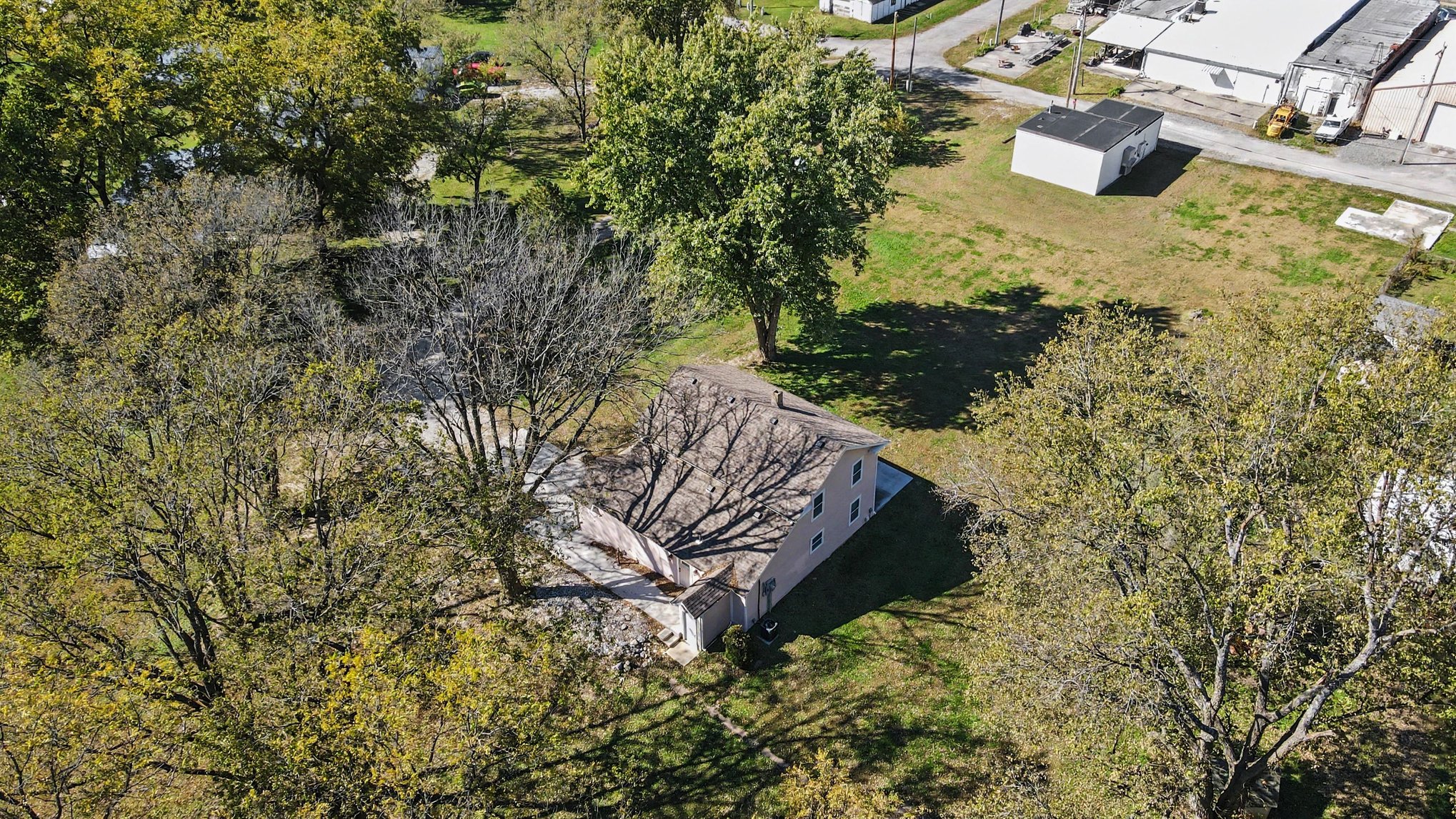 Aerial of the roofline among mature trees
