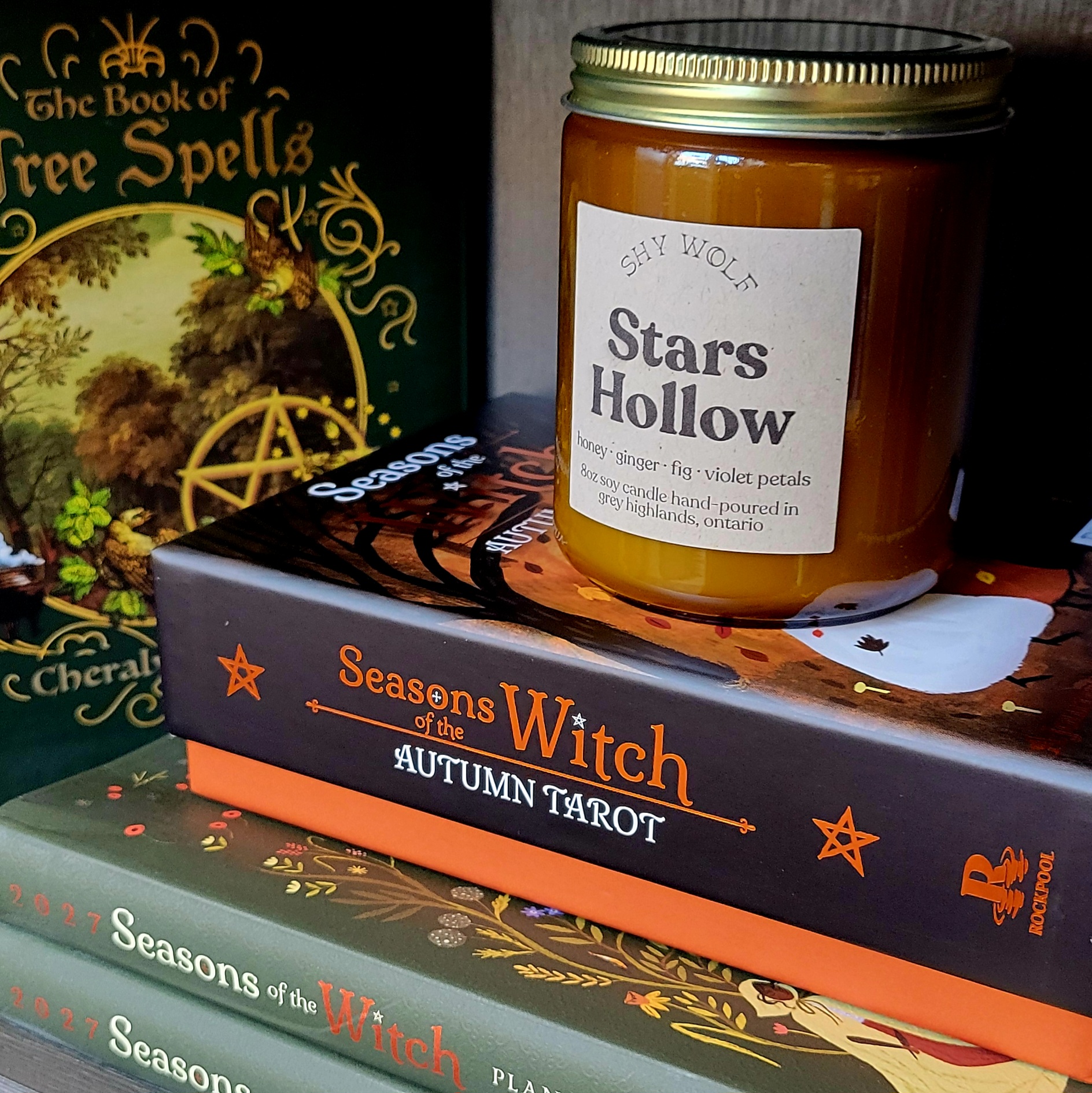 Books and Candles at Vervain & Rue Apothicaire Books and Candles at Vervain & Rue Apothicaire
