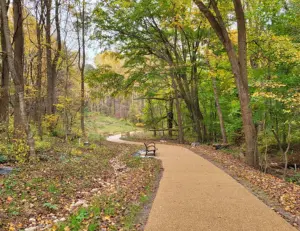 alt="A scenic walking trail at the Woodend Nature Sanctuary, a 40-acre nature preserve in Chevy Chase, MD."